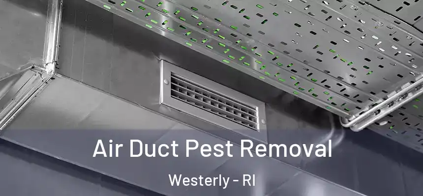  Air Duct Pest Removal Westerly - RI