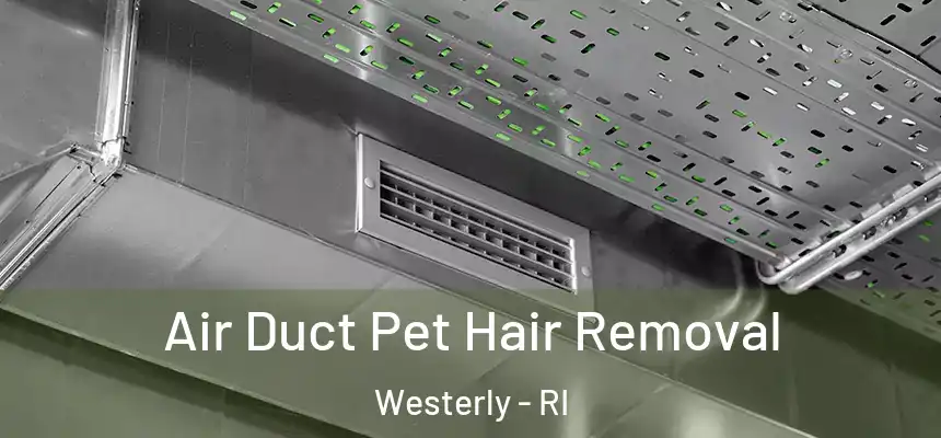  Air Duct Pet Hair Removal Westerly - RI