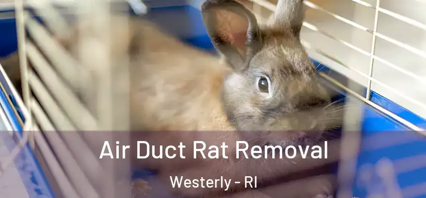  Air Duct Rat Removal Westerly - RI