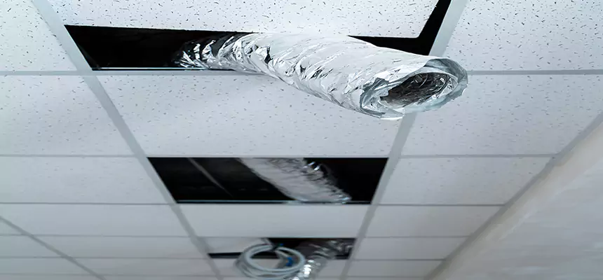 Affordable HVAC Sanitizing After Pest Removal in Westerly