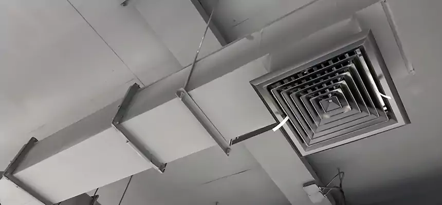 Our Rodent Droppings In Vents Services in Westerly, RI