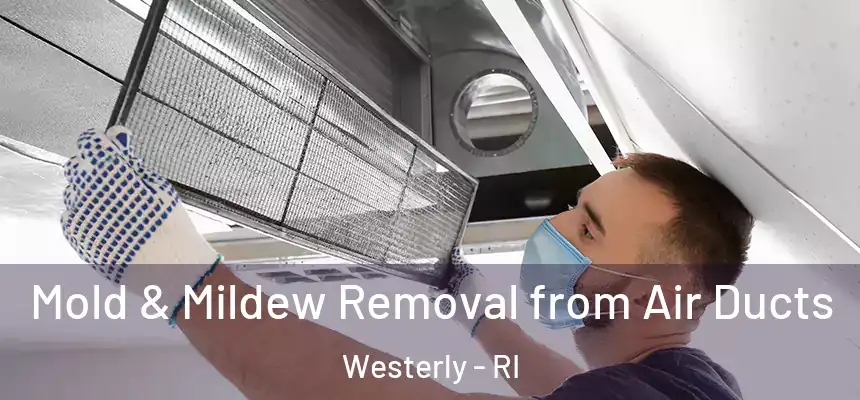 Mold & Mildew Removal from Air Ducts Westerly - RI