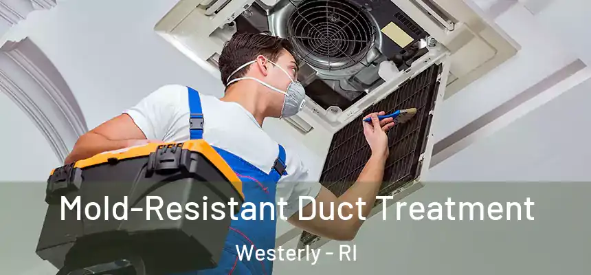  Mold-Resistant Duct Treatment Westerly - RI