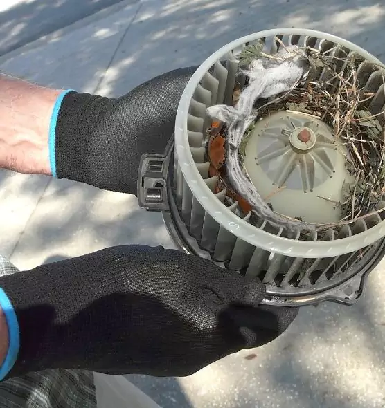 About Air Duct Mice Removal in Westerly, RI