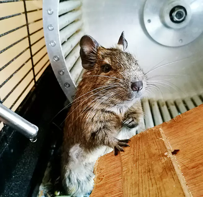 Why Homeowners & Businesses Trust Us Westerly, RI